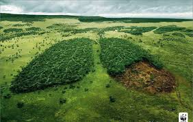 Sólo podemos dominar la naturaleza si la obedecemos. Cuidar La Naturaleza Photos Facebook