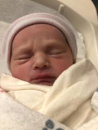 Added the newest Griggs Electric family member