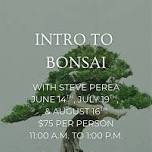 Copy of Copy of Intro to Bonsai