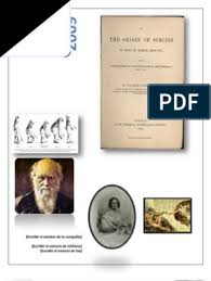 Descargar el origen de las especies gratis en pdf, epub o mobi. Ensayo Origen Especies Darwin Charles Darwin En El Origen De Las Especies