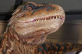 De imagini foarte detaliate ale mediului in care traiau dinozaurii, insotite. Cand Au Disparut Dinozaurii Noua Ipoteza A Oamenilor De Stiinta Mobile