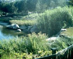 61 likes · 3 talking about this · 96 were here. Bahcesehir Golet Www Bahcesehir Gen Tr Mapio Net