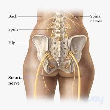 The left iliac region is the area on the lower left of the human abdomen. Lower Back Pain Types Symptoms Treatment