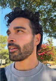 Cinnamon Rolls Pretzels Sheetz