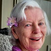 Luann Tracy Obituary (2024)