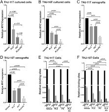 Potentiated Anti Tumor Effects Of Beti By Meki In Anaplastic