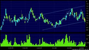 惠誉评级料伊朗局势令中国货柜港口网络失调增加劳工及仓储成本 ...