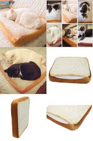 The 'loaf position' or 'loafing' is when the cat sits with its paws tucked in, beneath its body looking like a bread loaf. Visit To Buy 2017 New Design Bread Toast Cat Bed Soft Fleece Detachable Wash Small Dog Bed For Chihuahua 37 37 Dog Beds For Small Dogs Puppy Cushion Cat Bed