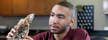 Carrie Maldonado Career Advice