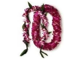 Banci și case de schimb moldovei, unde puteți să schimbați euro și leu moldovenesc. Honolulu Airport Honeymoon Romantic Flower Lei Greetings For Couples Open Now Tours Activities Fun Things To Do In Oahu Hawaii Veltra