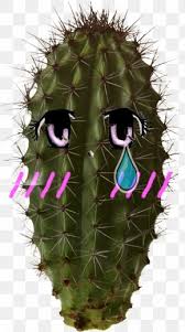 The name cacti or cactus has been adopted by the masses as the universal term to describe succulent plants. Succulent Plant Clip Art Cactus Plants Png 625x486px Succulent Plant Art Botany Cactus Echeveria Download Free