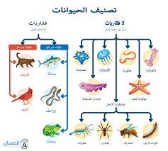 مقارنة بين الفقاريات واللافقاريات المرسال
