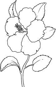 Free Printable Hibiscus Coloring Pages For Kids Printable Flower Coloring Pages Sunflower Coloring Pages Flower Coloring Sheets
