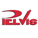 Resultado de imagen para pelvis rockabilly