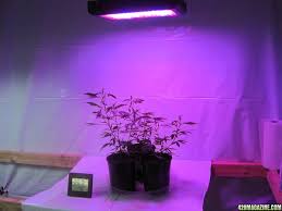 Dormgrow com led grow light. 420 Product Review Dormgrow G8 450 G8 90rr Led Grow Lights 420 Magazine
