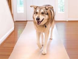 Hmmm Good Solution For My Laminate Floors And Foster Dogs Who Slip Protective Non Skid Carpet Runner Stair Runner Carpet Carpet Runner Hallway Carpet Runners