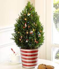 Natural Christmas Flower Arrangements Miniature Christmas Trees Tree Decorations
