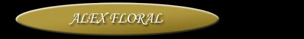 Silveria's flowers & gifts proudly serves stockton and the surrounding areas. Best Florists Flower Delivery In Stockton Ca 2021