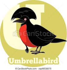 A drawing of an umbrella, colored with crayons. Umbrellabird Alfabet Tecknad Film Vektor Umbrellabird Avbild Alfabet Tecknad Film Canstock