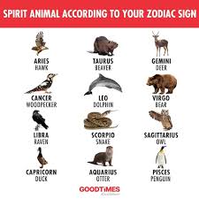 Some might ask what is the animal related to the virgo zodiac, however, the virgo symbol is not an animal like most other zodiac signs but they do have a spirit animal. Facebook