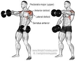 Alternating Dumbbell Front Raise Guide And Video Weight Training Guide Shoulder Workout Dumbbell Workout Shoulder Training