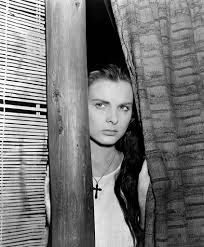 Jean Peters Jean Peters Zapata Canvas Art