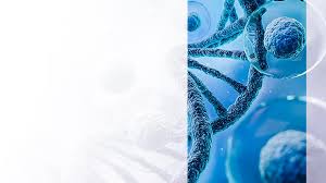 INTRODUCTION TO BAYLOR GENETICS