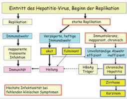 Hepatitis More 2010 2 Hepatitis B Impfung Altbewahrt Doch Nicht Perfekt