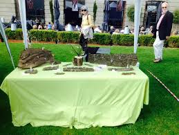 Sian Preston Jewellery