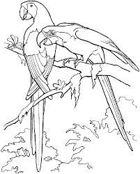 Free birds coloring pages to print and download. Parrot Coloring Pages Birds Printable Enjoy Coloring Coloring Library