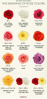 R A W R Rose Color Meanings Different Color Roses Rose Meaning