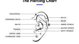 Daith Piercing 101 Everything You Need To Know