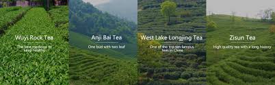 From a distance, the tea farms could almost be like the majority of tea plantations in china, you're more likely to catch farmers here on a foggy day. Our Teas The Blooming Lotus