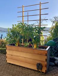 Weitere ideen zu wasserspeicher, wassertank garten, regentonne. Hochbeet Mit Wasserspeicher Geniessen Ohne Giessen Krumm Fein
