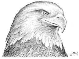 Karakalem Kartal Ile Ilgili Gorsel Sonucu Drawing Resim Kartal