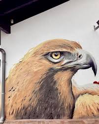 Formerly known as eintracht frankfurt amateure (amateurs) until 2005 the team played as u23 (under 23) to emphasize the character of the team as a link between youth academy and pro team. Kunstler Malt Eintracht Motiv An Fassade Der Kunstwerker