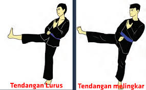 We did not find results for: Teknik Dasar Pencak Silat Pukulan Tendangan Elakan Tangkisan Freedomsiana