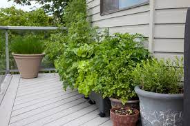 Not all garden insects are pests. 3 Simple Tasks To Do Right Now For Your Best Garden Horticulture