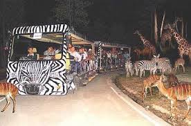 Night Safari Zoo Singapore Best Places In Singapore Singapore Zoo Singapore Travel
