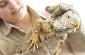 Image result for Zoologist
