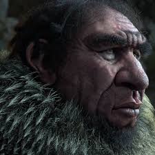 Below are some of the still unanswered questions about h. Sivan Okcuoglu Homo Neanderthalensis