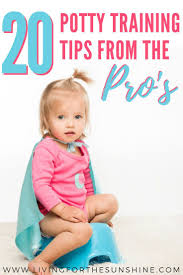 Potty Training Hacks And Tips From Child Care Professionals Potty Training Boys Potty Training Girls Potty Training Tips