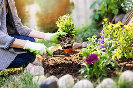 Wege prägen einen garten ebenso wie die pflanzen darin. Blumenbeet Anlegen Blumenarten Planung Vorbereitung Pflanzung