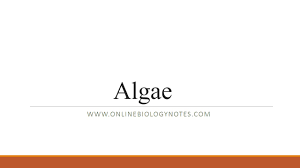 Algae General Characteristics And Classification Online
