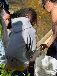 The 20th Annual Fry Release...