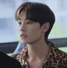 wtf I just saw someone says that wang shou and wang zhen might end up being  together and have their own story, it also said that they're not blood  related, so it