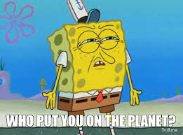 Image Result For Spongebob Meme Squidward Funny Spongebob Memes Spongebob Faces Spongebob Funny
