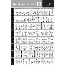 Dumbbell Exercise Poster Vol 3 Laminated Workout Strength Training Chart Build Muscle Tone Tighten Home Gym Weight Lifting Routine Body