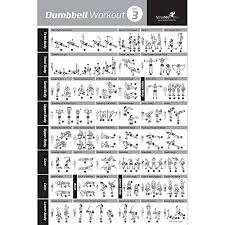 dumbbell exercise poster vol 3 laminated workout strength training chart build muscle tone tighten home gym weight lifting routine body