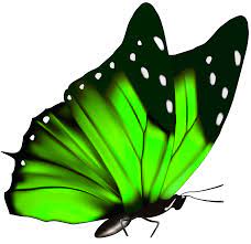 Green Butterfly Png Clipart Image Butterfly Illustration Butterfly Watercolor Butterflies Svg